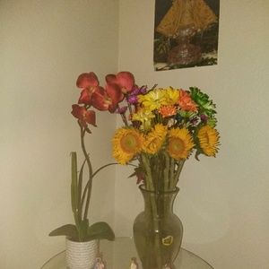 Meet your Posher, Yamilka